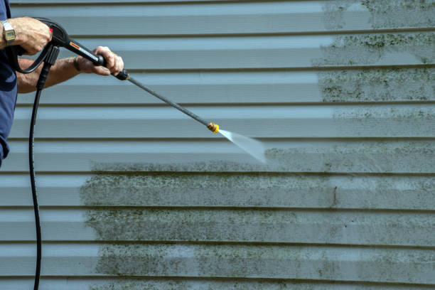 Best Fence Cleaning  in Whitmore Lake, MI